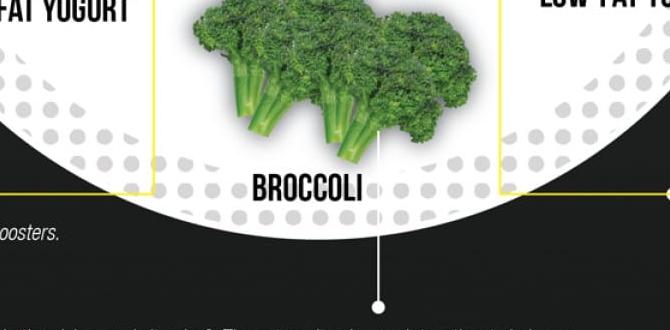 functional foods for better metabolism functional foods for better metabolism