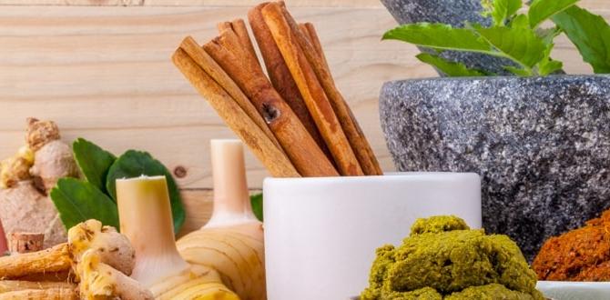 functional ingredients that aid digestion functional ingredients that aid digestion