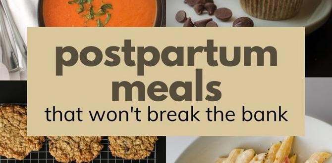 functional meals for postpartum focus functional meals for postpartum focus