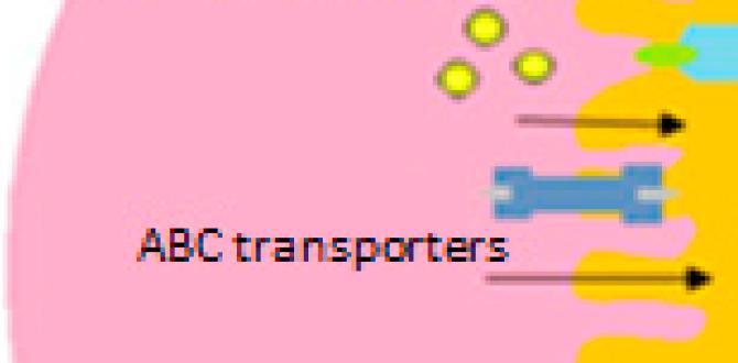 gut calming snacks to keep at your desk gut calming snacks to keep at your desk