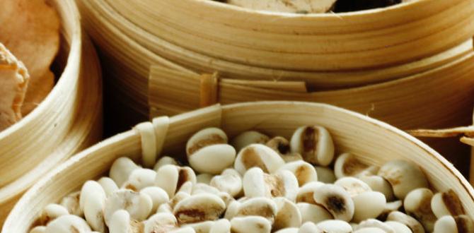 healing soups with calming effects healing soups with calming effects
