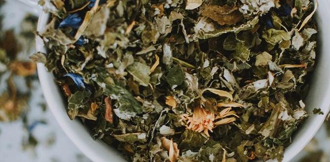 herbal blends for nighttime gut calm herbal blends for nighttime gut calm