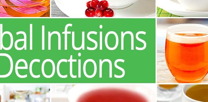 herbal infusions for daily mood support herbal infusions for daily mood support