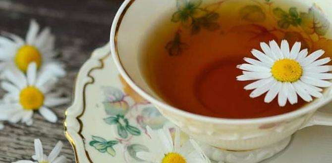 herbal teas for steady emotional energy herbal teas for steady emotional energy