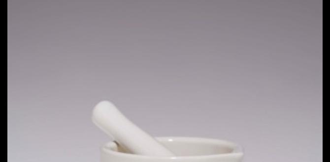 herbal teas to restore nervous system herbal teas to restore nervous system