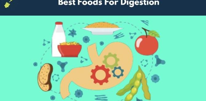 hydrating foods that improve digestion hydrating foods that improve digestion