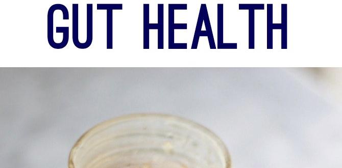 hydrating foods to support gut hydrating foods to support gut