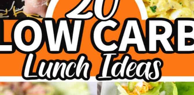 low carb gut friendly lunch ideas