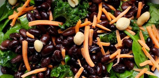 meal ideas for mood for plant based diets meal ideas for mood for plant based diets
