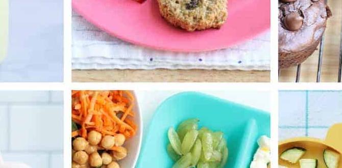 meal ideas for mood good for kids meal ideas for mood good for kids