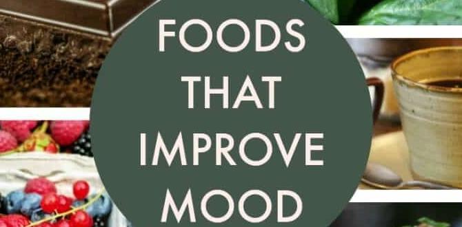 meal ideas for mood that improve digestion meal ideas for mood that improve digestion
