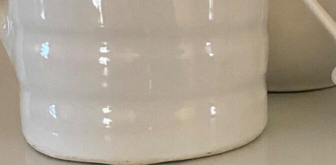 meal prep for energy good for seniors