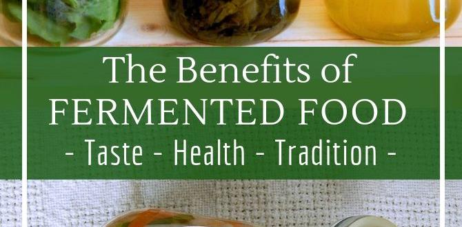 fermented foods functional benefits fermented foods functional benefits