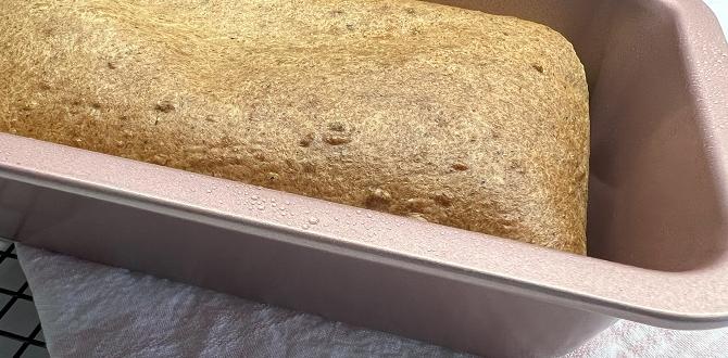 functional bread with added protein functional bread with added protein