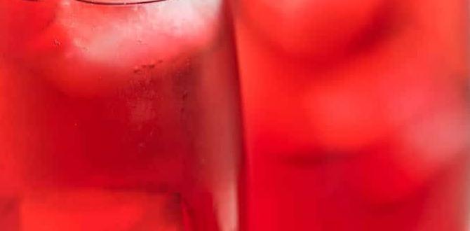 functional chilled herbal drink with rooibos and hibiscus
