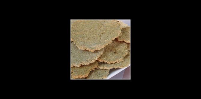 functional crackers with oat bran and chia seeds functional crackers with oat bran and chia seeds