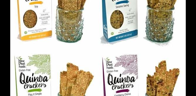 functional crackers with quinoa and flax functional crackers with quinoa and flax