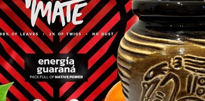 functional energy drinks with yerba mate and guarana functional energy drinks with yerba mate and guarana
