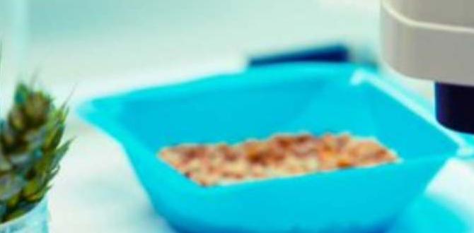 functional food benefits research 2025 functional food benefits research 2025