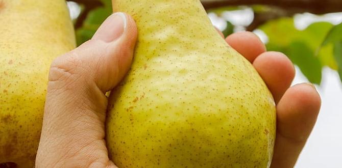 functional food ingredient sourcing functional food ingredient sourcing