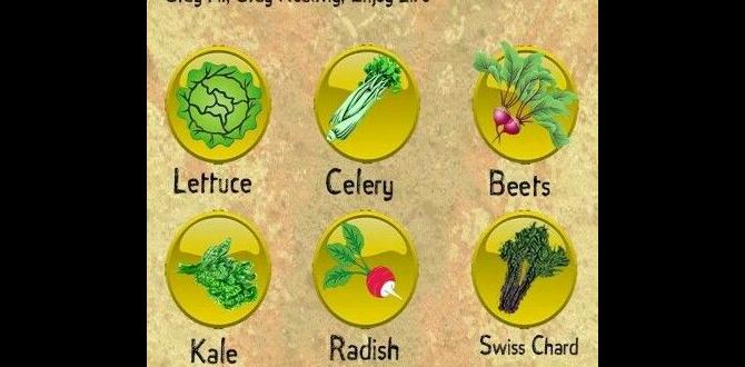 functional foods and blood pressure regulation functional foods and blood pressure regulation