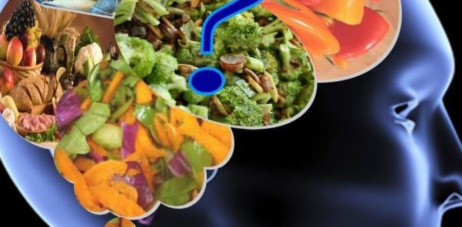 functional foods and cognitive function functional foods and cognitive function