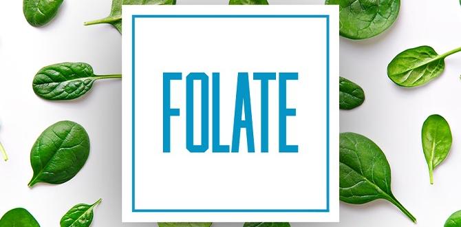 functional foods enriched with folate functional foods enriched with folate
