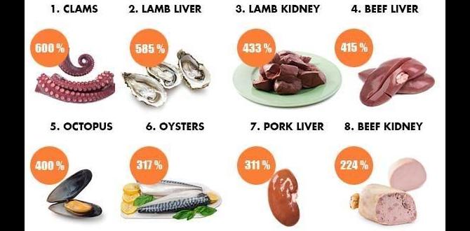 functional foods enriched with vitamin B12 functional foods enriched with vitamin B12
