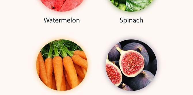 functional foods for acne prevention functional foods for acne prevention
