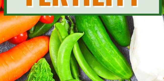 functional foods for boosting fertility functional foods for boosting fertility