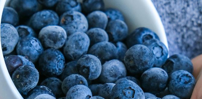 functional foods for brain health functional foods for brain health