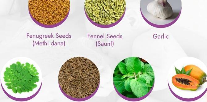 functional foods for breastfeeding milk supply functional foods for breastfeeding milk supply