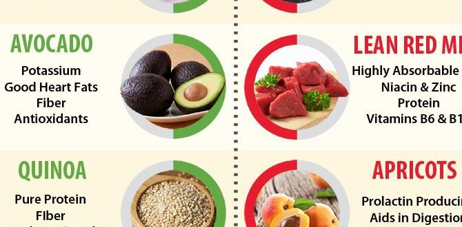 functional foods for breastfeeding mothers functional foods for breastfeeding mothers