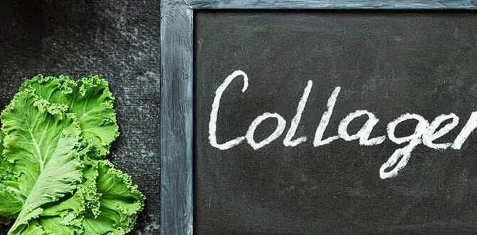 functional foods for collagen support