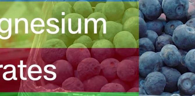 functional foods for heart health functional foods for heart health