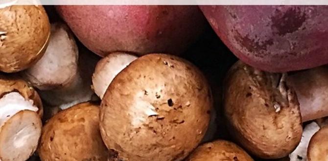functional foods for immune boost functional foods for immune boost