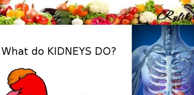 functional foods for kidney health