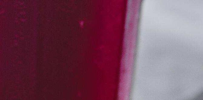 functional foods for pre workout fuel functional foods for pre workout fuel