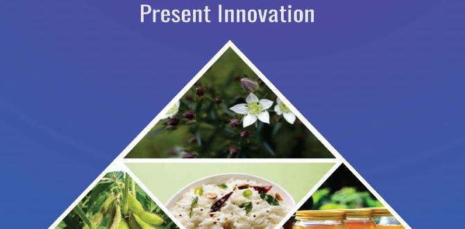 functional foods in plant based diets functional foods in plant based diets