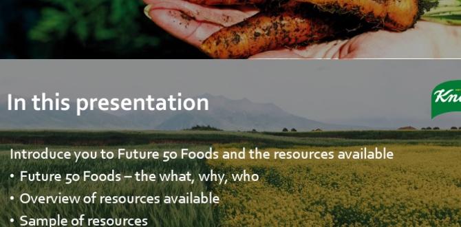 functional foods list 2025 functional foods list 2025