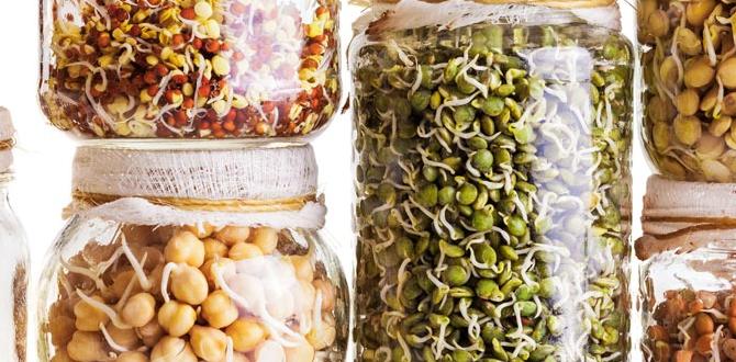 functional foods made from sprouted grains functional foods made from sprouted grains