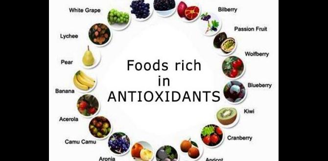 functional foods rich in antioxidants functional foods rich in antioxidants