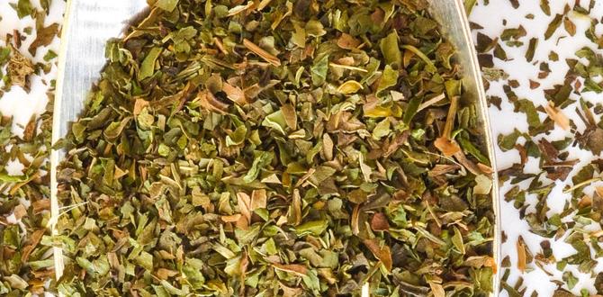 functional herbal infusion with peppermint, lavender, and fennel functional herbal infusion with peppermint, lavender, and fennel