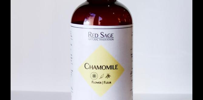 functional herbal infusions with rosehip and chamomile functional herbal infusions with rosehip and chamomile