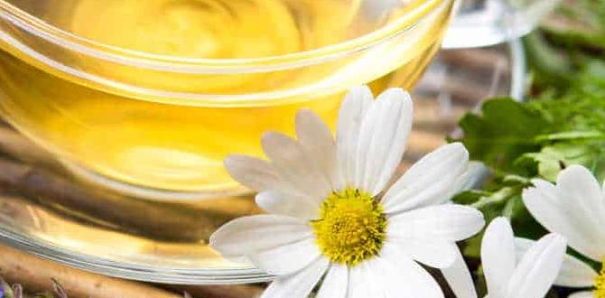 functional herbal teas with chamomile and lavender functional herbal teas with chamomile and lavender