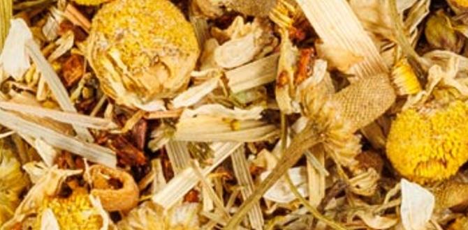 functional herbal teas with lemon balm and chamomile functional herbal teas with lemon balm and chamomile