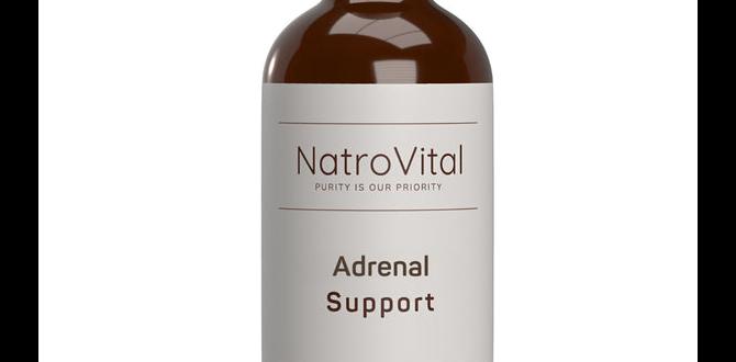 functional herbal tonics for daily wellness functional herbal tonics for daily wellness
