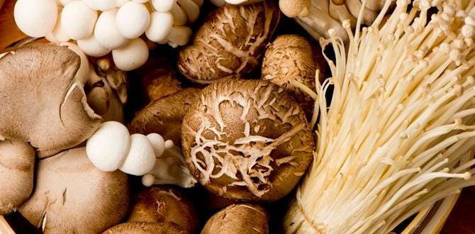 functional mushrooms as functional foods functional mushrooms as functional foods