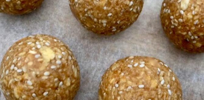 functional protein energy bites with cranberries and chia functional protein energy bites with cranberries and chia