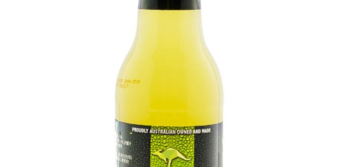 functional sparkling beverages with lemon and ginger functional sparkling beverages with lemon and ginger